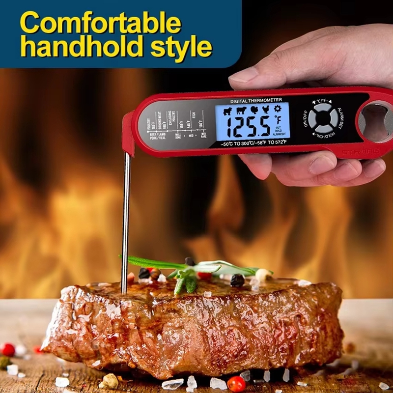 Meat Thermometer Dual-Probe Di - Kitchen Equipment For Baking ulasan dan harga